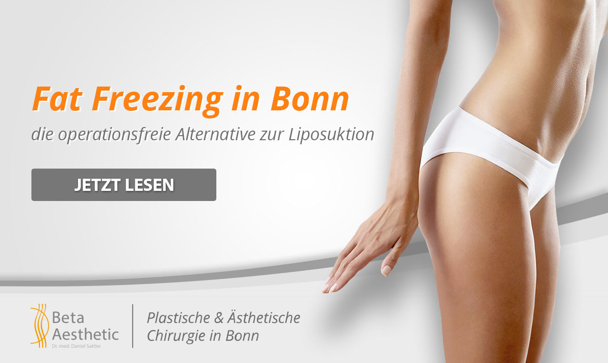 Fat Freezing in Bonn